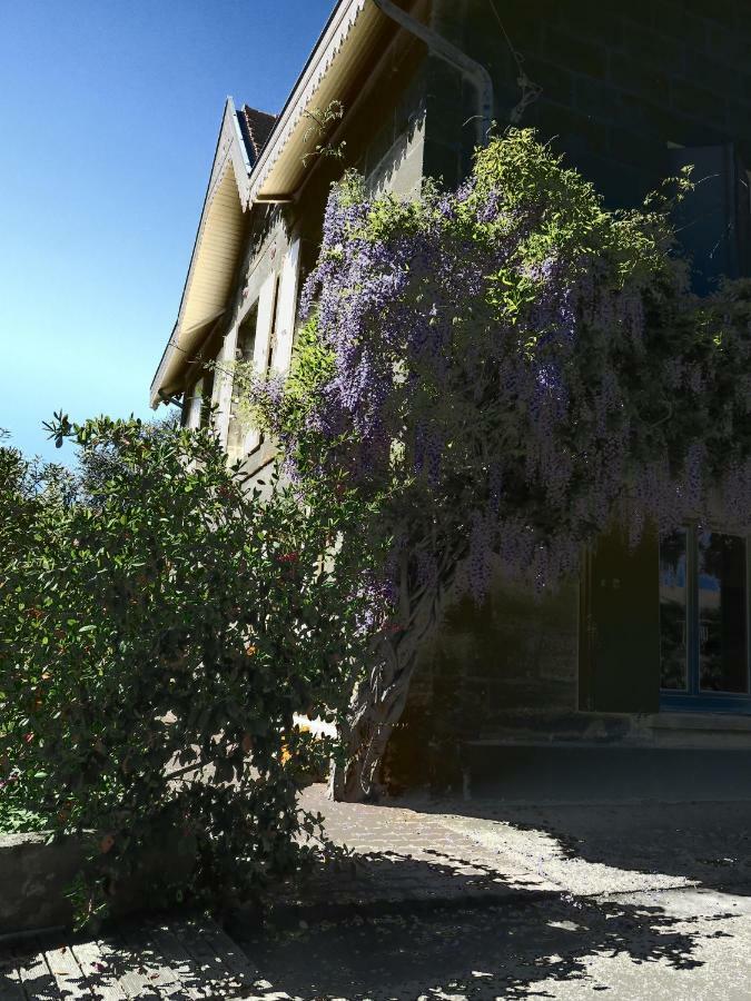 Bed and Breakfast Domaine De Monein Saint-André-de-Cubzac Exteriér fotografie